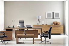 辦公項(xiàng)目